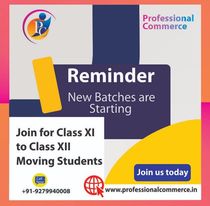 Professional Commerce in Boring Road, Patna