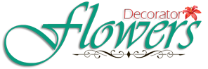 Flowers Decorator in Bailey Road, Patna