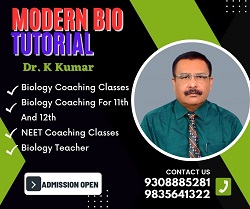 Modern Bio Tutorial in Boring Road, Patna