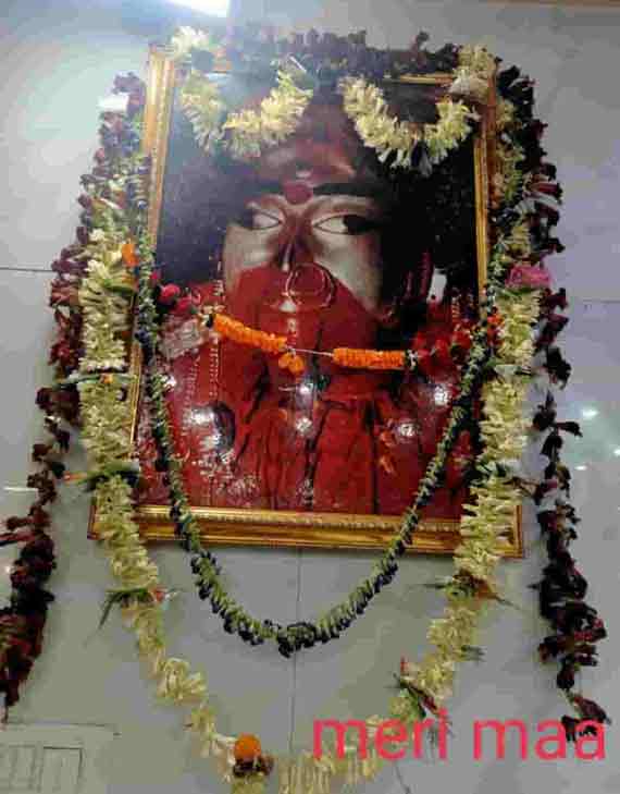 Jai Maa Kamla Jyotish in Exhibition Road, Patna