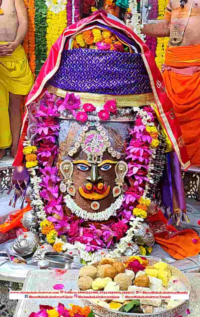 Acharya Brajesh Guru