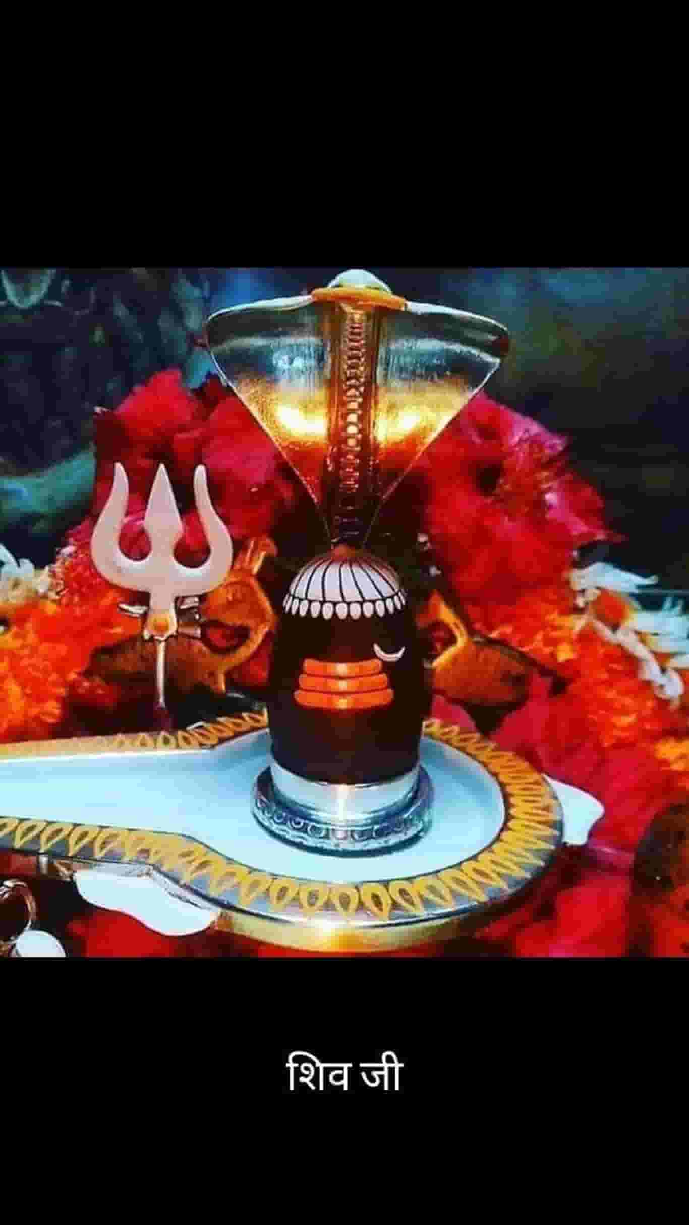 Bhagvati Jyotish Evam Anushthan