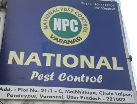 National Pest Control  in  Varanasi Cantt, Varanasi