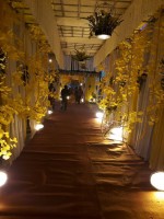 Paul Decorator  in Dhanbad HO, Dhanbad