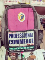 Professional Commerce in Boring Road, Patna