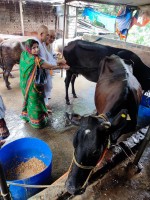 Maithili Panda in Vishnupad Road, Gaya