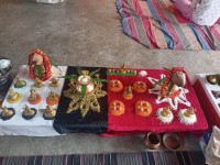 Acharya Brajesh Guru in Mangalnath Marg, Ujjain