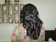 Hair n Harry  in Anisabad, Patna